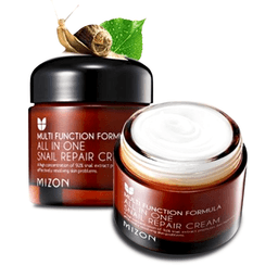 MIZON All In One Snail Repair Cream 75g 2