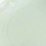 Beauty of Joseon Green Plum Refreshing Toner : AHA + BHA 150 Ml 2